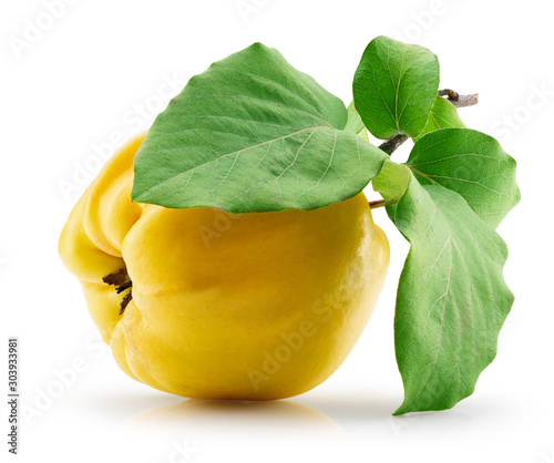 Tableau sur toile quince with leaves isolated on a white background