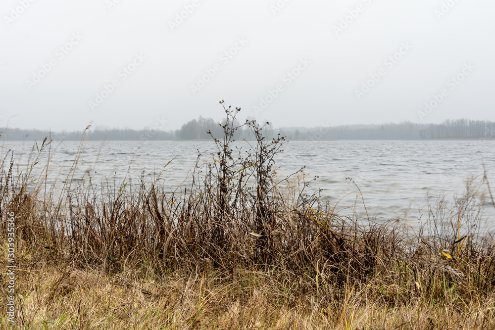 dried coastal grass and cold water surface in fog with barely visible blurred distant shore on the horizon