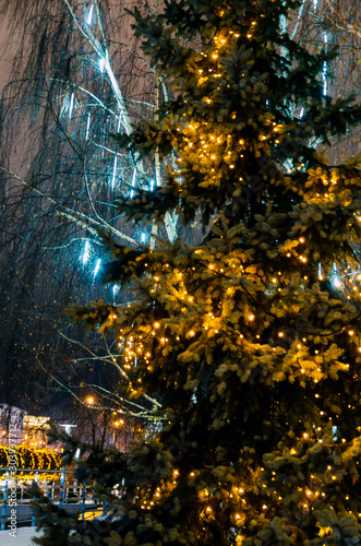 Christmas holidays. Illuminating lights of a garland in the branches of fir and birch outdoor at winter night © Arseniy