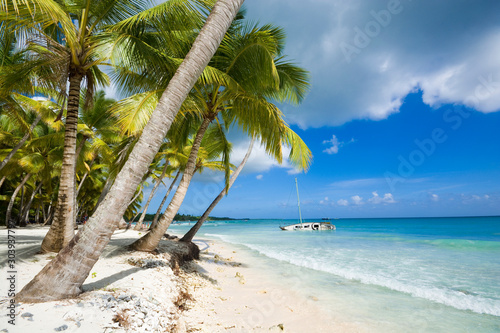 Tropical beach in Caribbean sea, Saona island, Dominican Republic