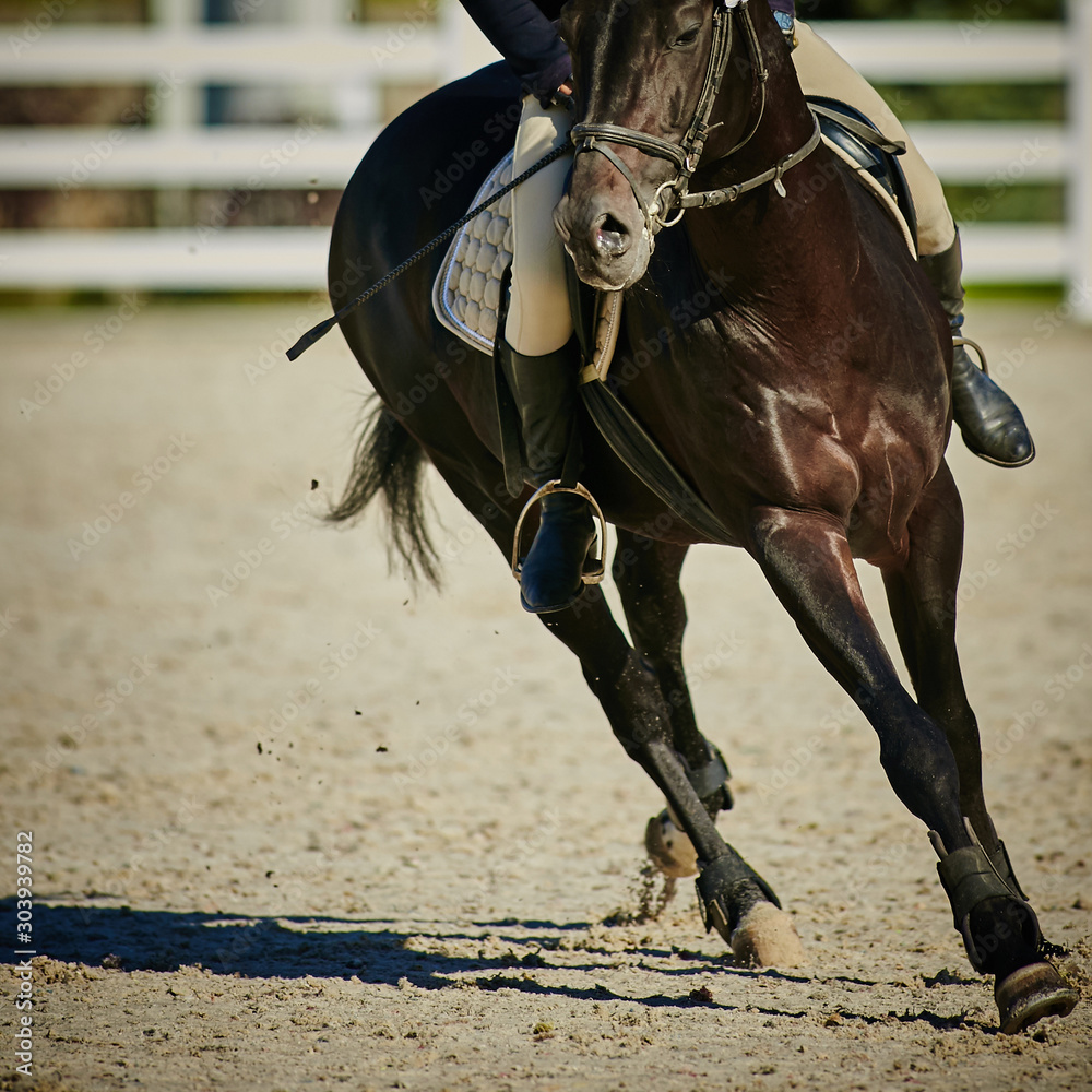 Obraz premium Rider on bay horse in competitions