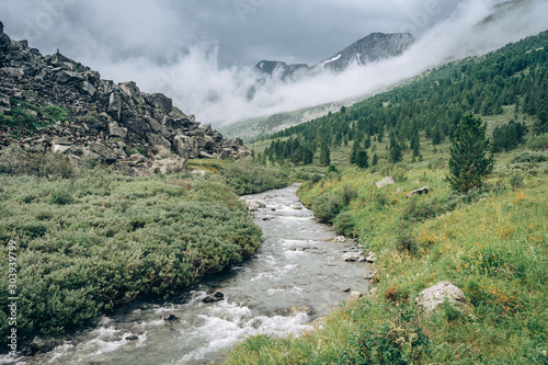 Wild russian nature. Severe landscape with a stream in the cloudy mountains. Misty forest in Akchan valley. Traveling in the Altai Republic. Hiking in Russia. Siberian reserve. photo