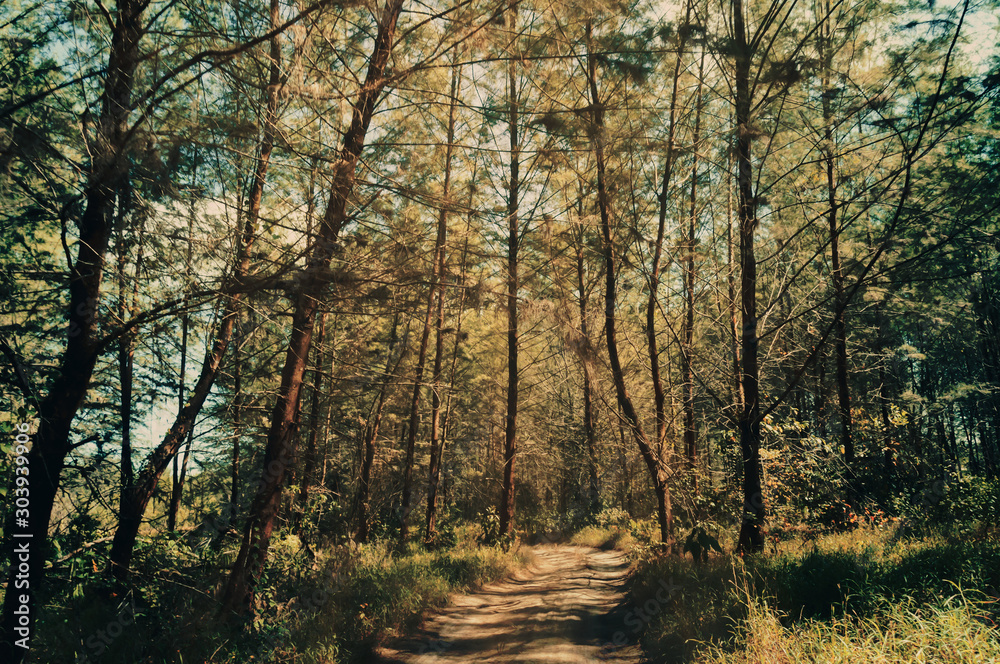 Rural Roads.Rural Village Landscape