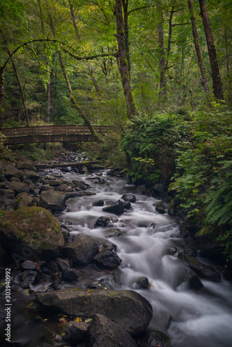 Wooden footbridge over flowing creek in beautiful lush green forest of Oregon