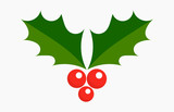 Christmas plant holly berries icon.