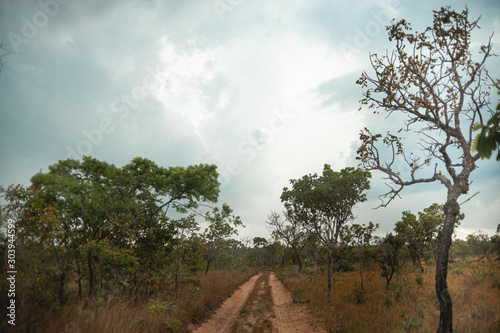 Caminho para cachoeira do Romão - Carolina-MA © Diego