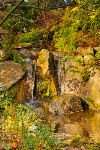2019-08-14 Small Water Fountin in Botanical Garden 3 photo