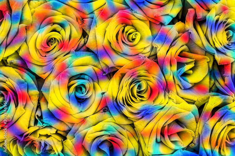 Buds of multicolored roses in a bouquet Buds of multicolored roses in a bouquet