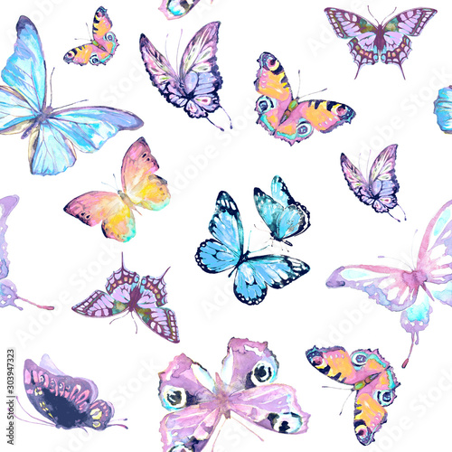 pattern beautiful color butterflies set