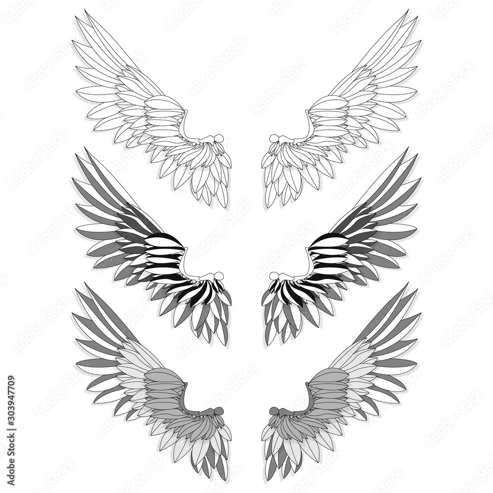 Obraz premium Bird wings set isolated on a white background. Vector illustration. Monochrome...