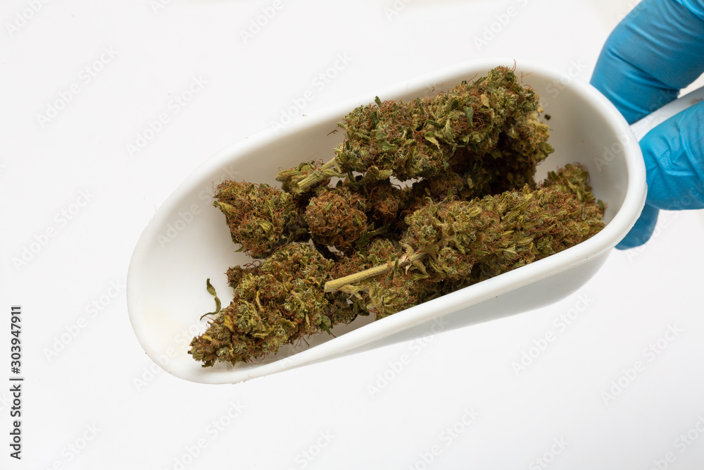 Preparation in herbal medicine of cannabis sativa samples Preparation in herbal medicine of cannabis sativa samples