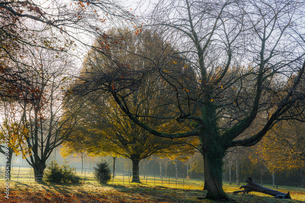 Beautiful Autumn at Grove Park, Birmingham, UK