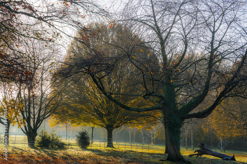 Beautiful Autumn at Grove Park, Birmingham, UK