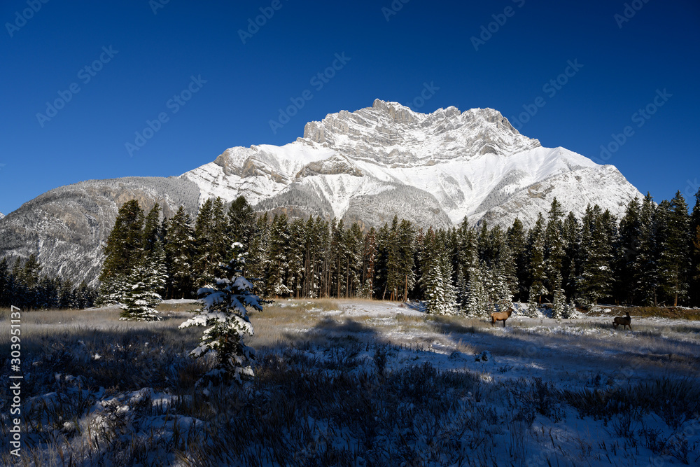 Winter Landscape of the snowy top of Cascade Mountain in the Banff National Park, Alberta, Canada