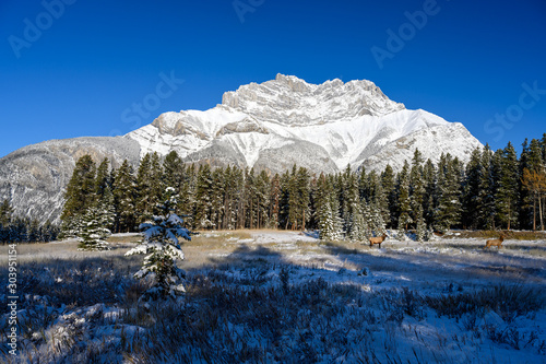 Winter Landscape of the snowy top of Cascade Mountain in the Banff National Park, Alberta, Canada photo