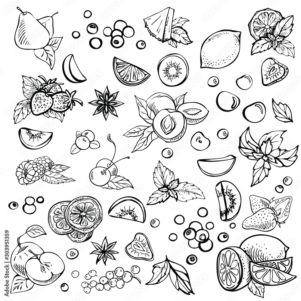 Sketch set of different hand drawn fruit. Fruits and Berries isolated on white background. vintage sketch style illustration Sketch set of different hand drawn fruit. Fruits and Berries isolated on white background. vintage sketch style illustration