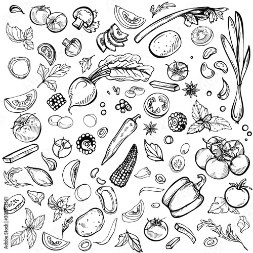 Hand drawn ink sketch. Set of various vegetables. Sketches of different food. Isolated on white