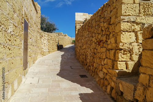 Obraz na płótnie The walls of the Gozo citadel in Malta w salonie