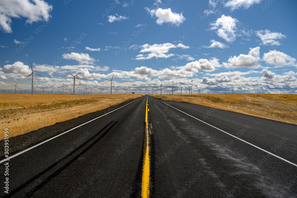 Naklejka premium Empty road leads through an open land hundreds of wind turbines on it