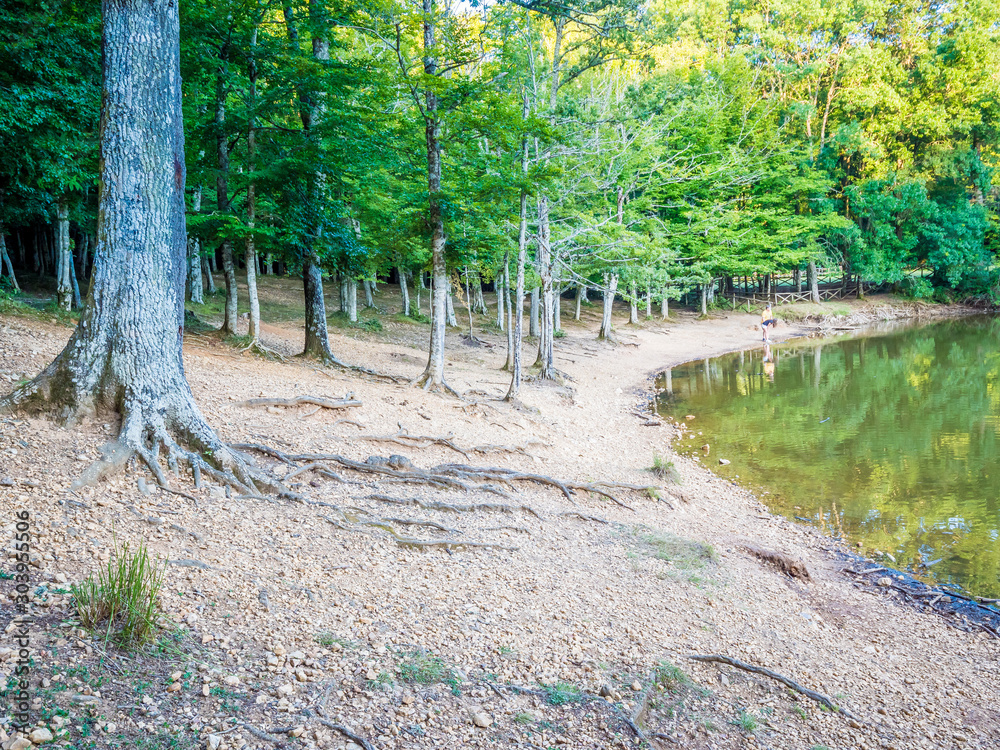 Φωτογραφία The Umbra Forest, a natural reserve part of Gargano National Park and UNESCO Wor