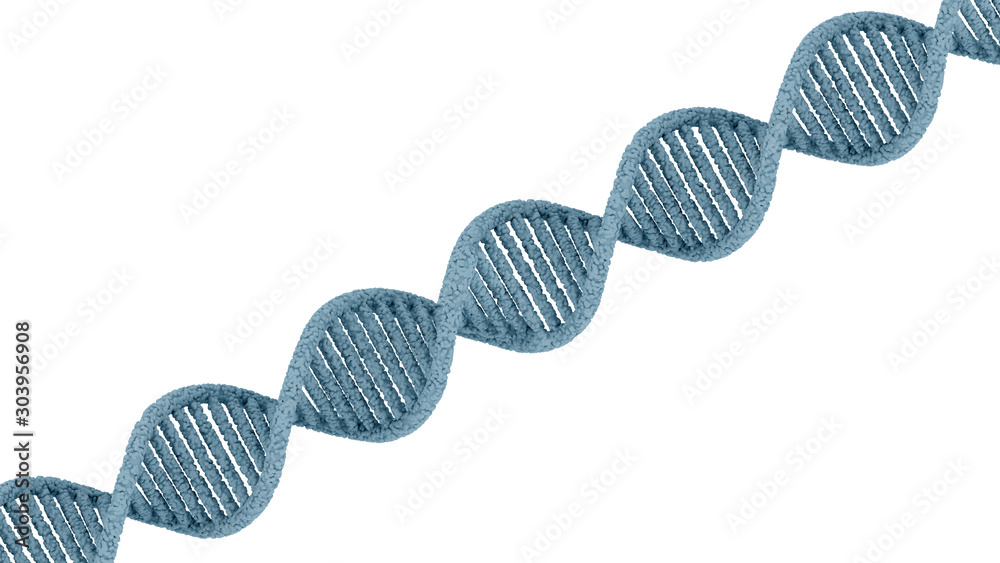 DNA strand isolated on white background. 3D render