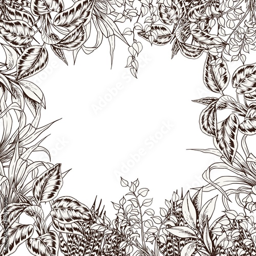 Wallpaper Mural Square frame with sketchy tropical calathea leaves. Hand drawn vector illustration. Torontodigital.ca