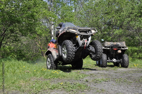 ATV rides on the rear wheels in the forest in summer.