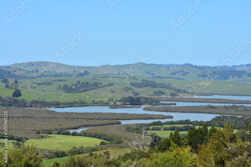 Farmland on west coast of New Zealand with harbor shallows full of mangroves.