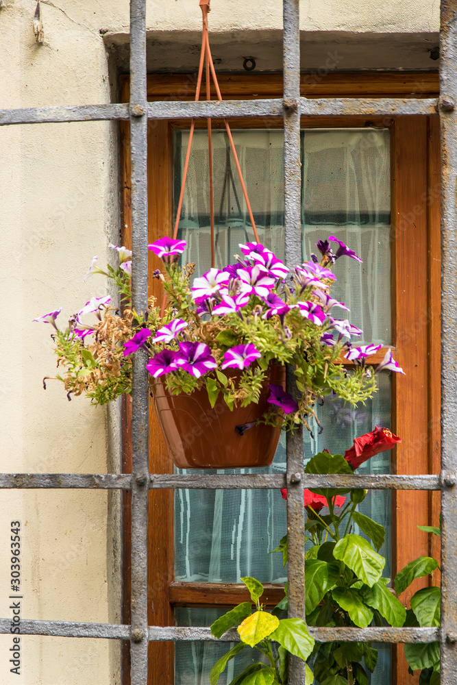 Φωτογραφία Flower arrangement on window in Impruneta, Italy