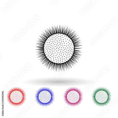 Sea egg kina multi color icon. Simple thin line, outline vector of fish icons for ui and ux, website or mobile application