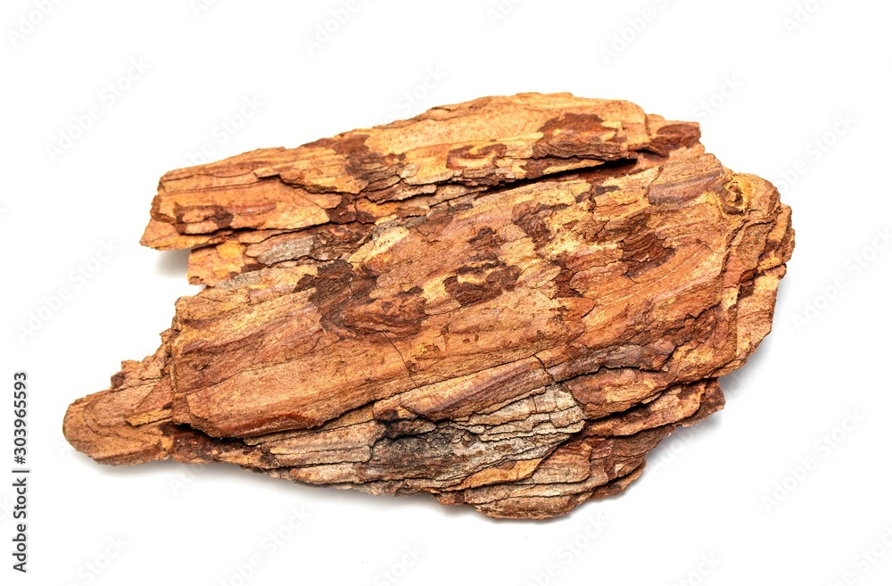 A piece of tree bark is isolated on a white background. A piece of tree bark is isolated on a white background.
