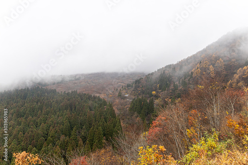 鳥取 大山 鍵掛峠の紅葉 曇り 雰囲気