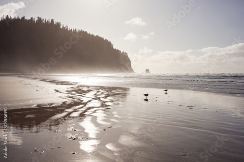 Beach at Cape Meares on the Oregon Coast on a sunny autumn day. photo