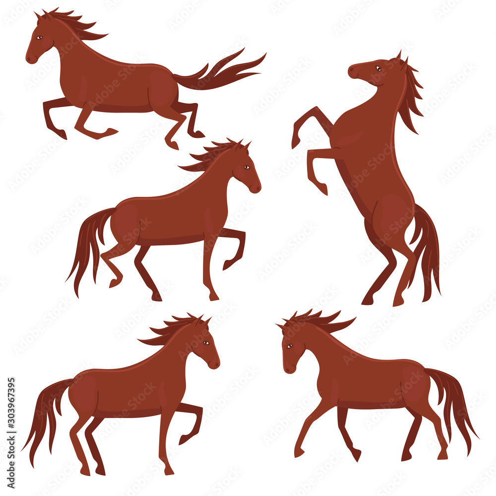 Fototapeta Set of brown horses isolated on a white background. Vector graphics.