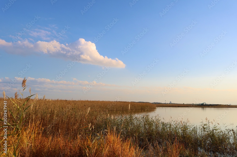 秋　空　風景　渡良瀬　栃木