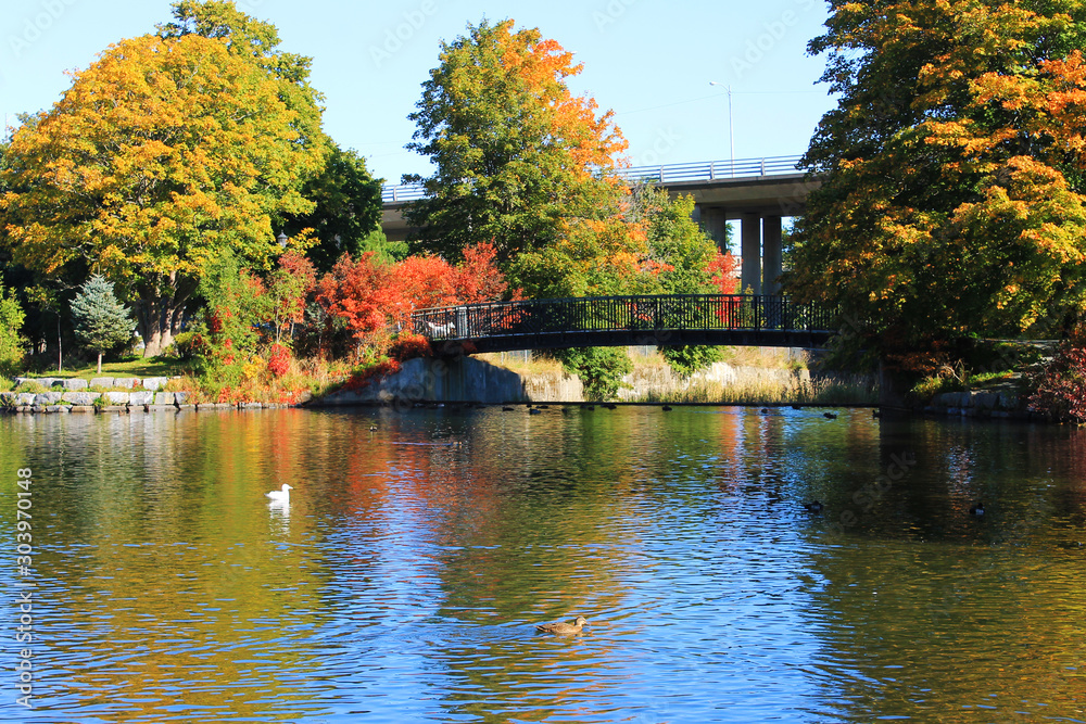 Looking across a pond at the opposite shore and a footbridge that crosses a river at the head of the pond, autumn.