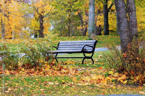 Empty park bench, fall leaves on the grass around it, trees in autumn colors