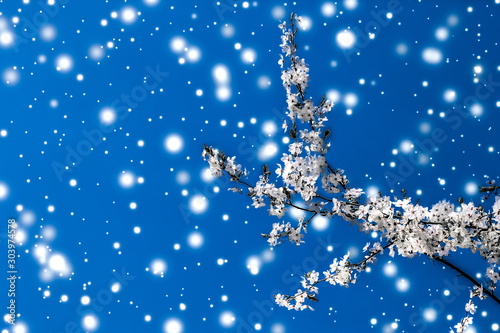 Canvas Print Christmas, New Years blue floral background, holiday card design, flower tree an