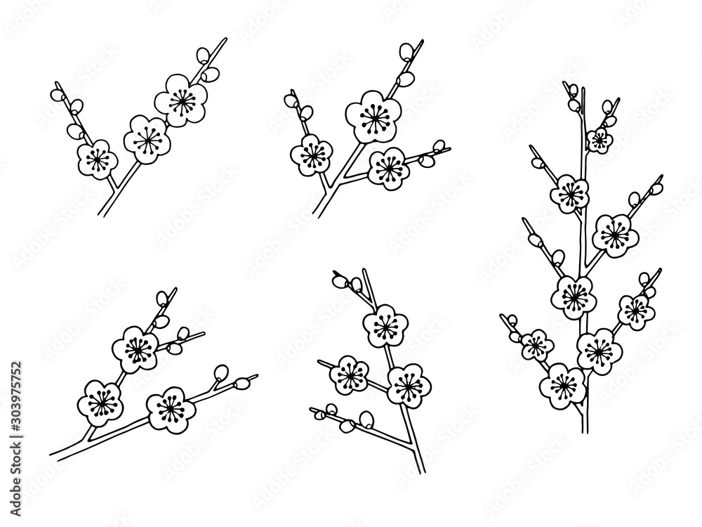 梅の花 ペン画 セット Stock Vector Adobe Stock