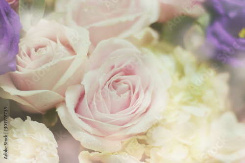 Close up beautiful Pink rose flower bouquet