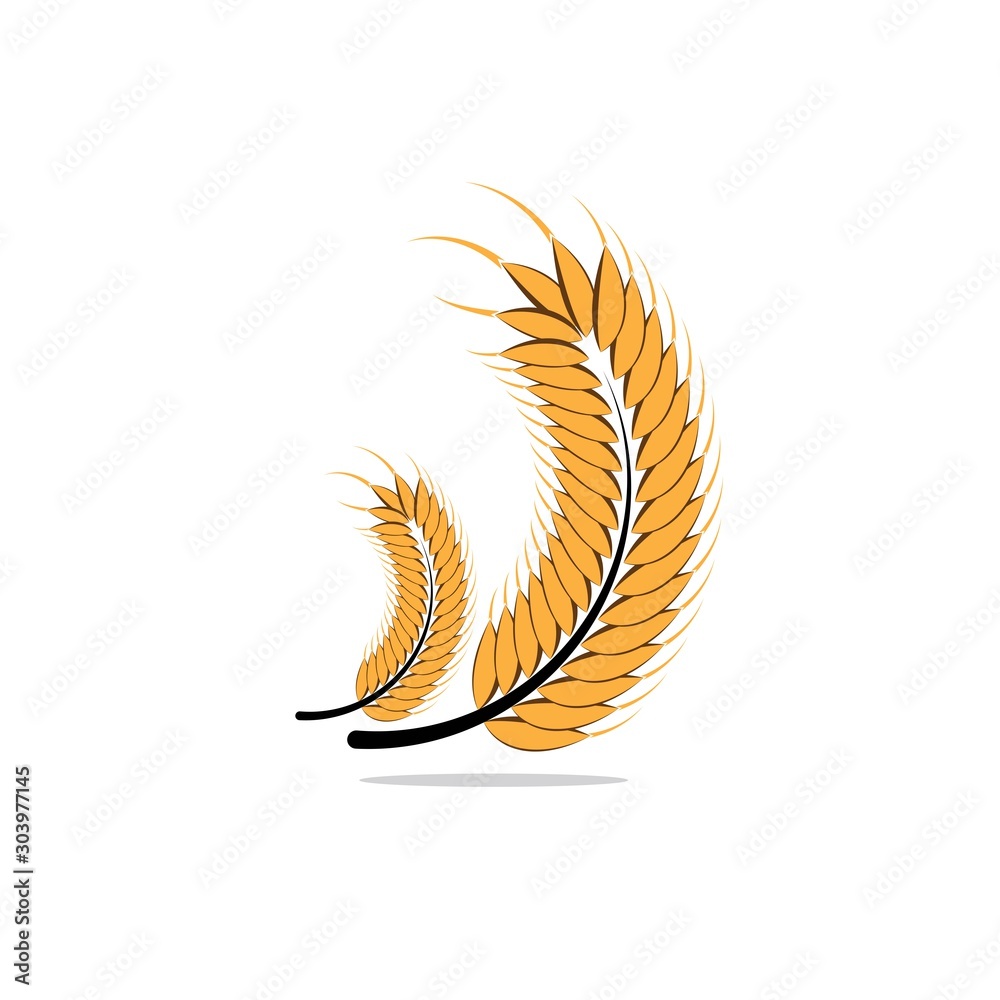 Agriculture wheat Logo Template Agriculture wheat Logo Template