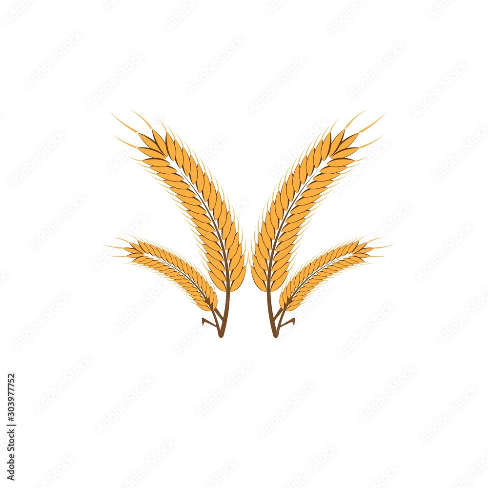 Agriculture wheat Logo Template Agriculture wheat Logo Template