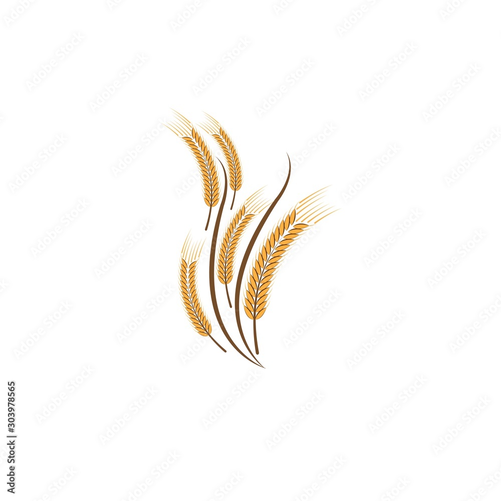 Agriculture wheat Logo Template Agriculture wheat Logo Template