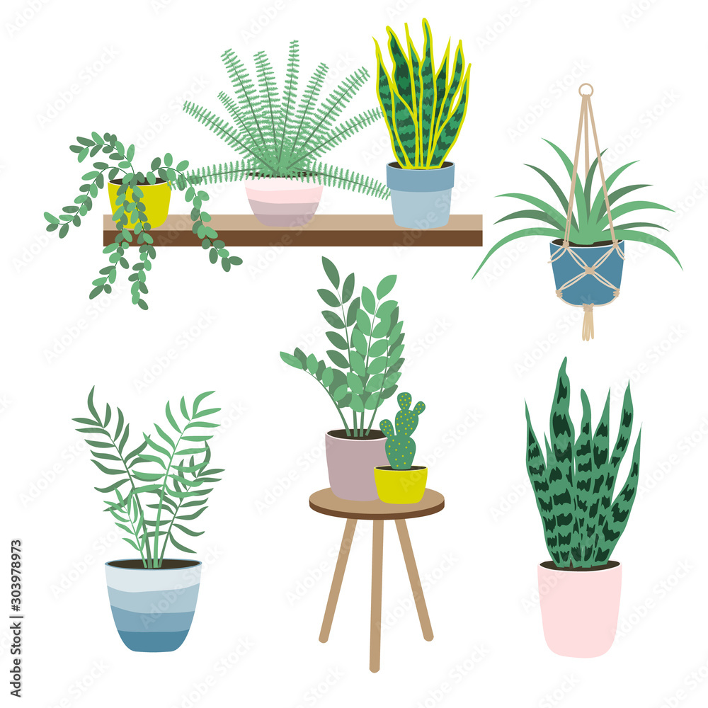 Set of house plants isolated on white background. Potted plants. Vector illustration in flat style. Set of house plants isolated on white background. Potted plants. Vector illustration in flat style.