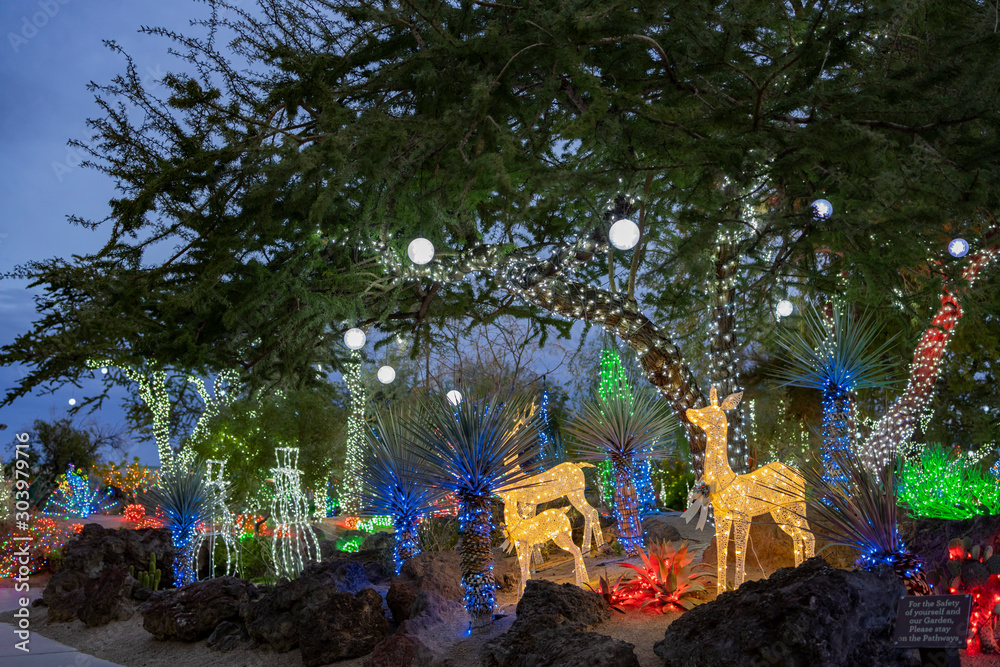 Fototapeta premium Night view of many Christmas lights