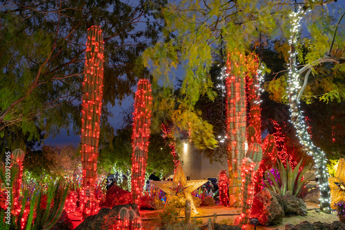 Photography Night view of many Christmas lights