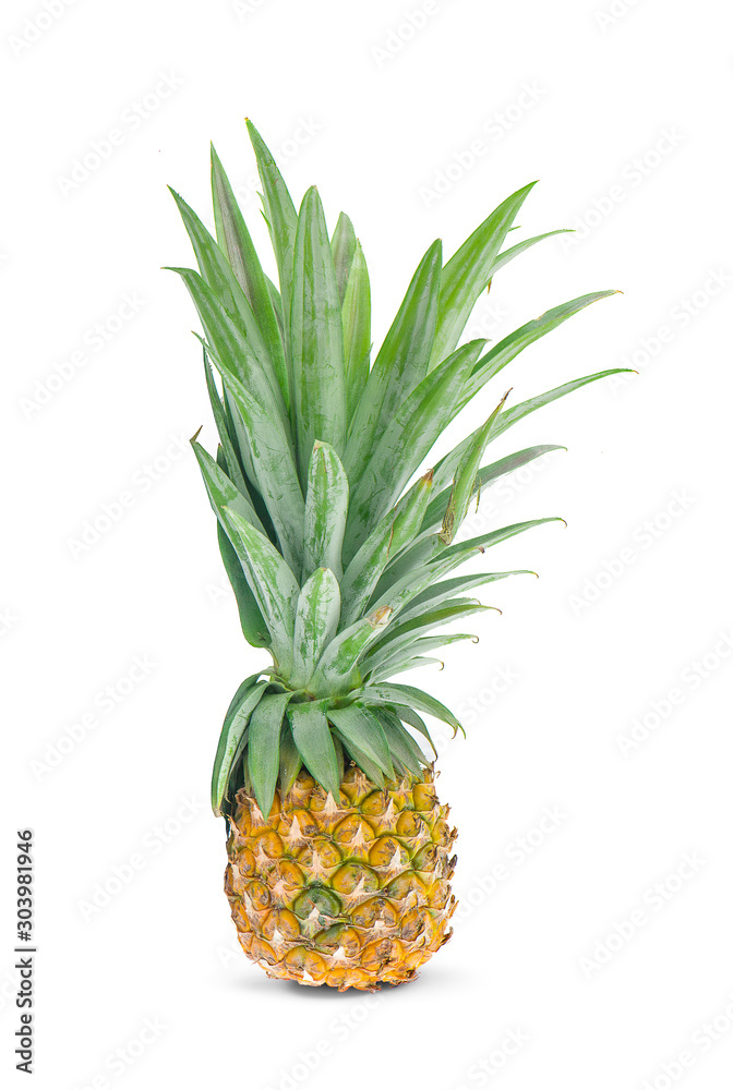 pineapple close-up an isolated on a white background pineapple close-up an isolated on a white background