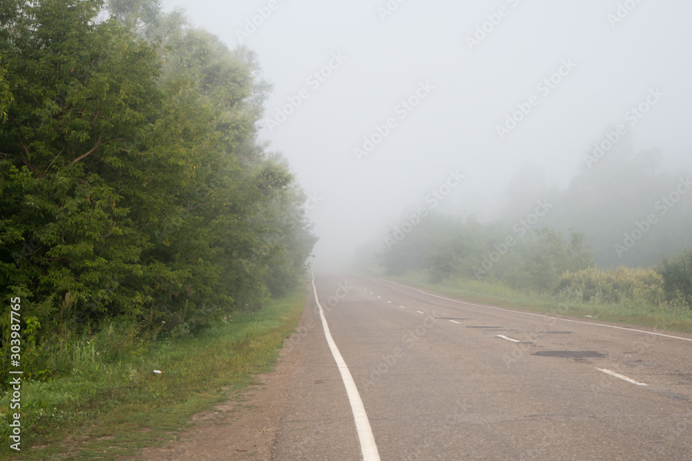 Asphalt road passing through a foggy forest. Summer landscape.