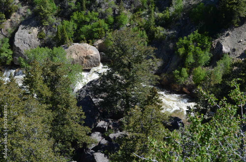 Late Spring in Wyoming: Shell Creek Cuts Through Shell Canyon Near Shell Falls in the Bighorn Mountains
