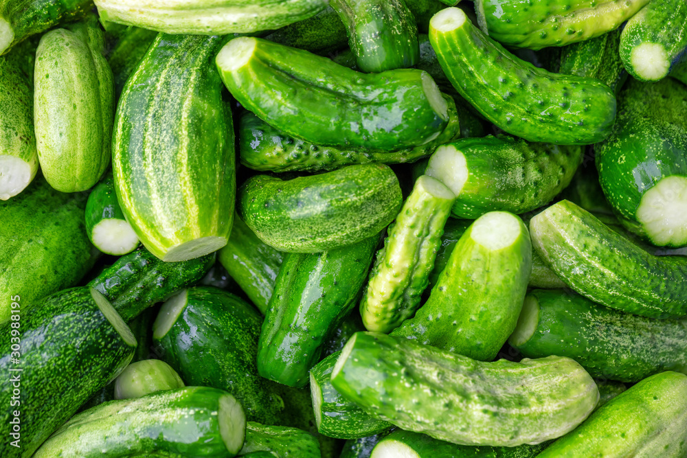 Natural background of green cucumbers Natural background of green cucumbers